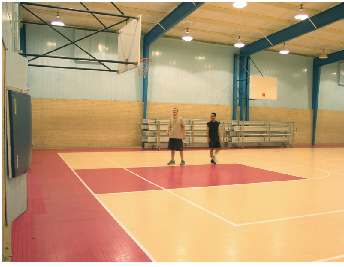 sports flooring