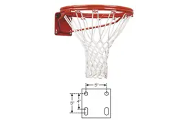 image of FT170D Fixed Basketball Goal