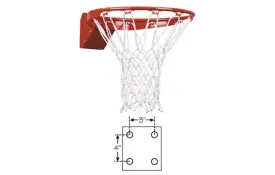 image of FT184 Flex Basketball Goal